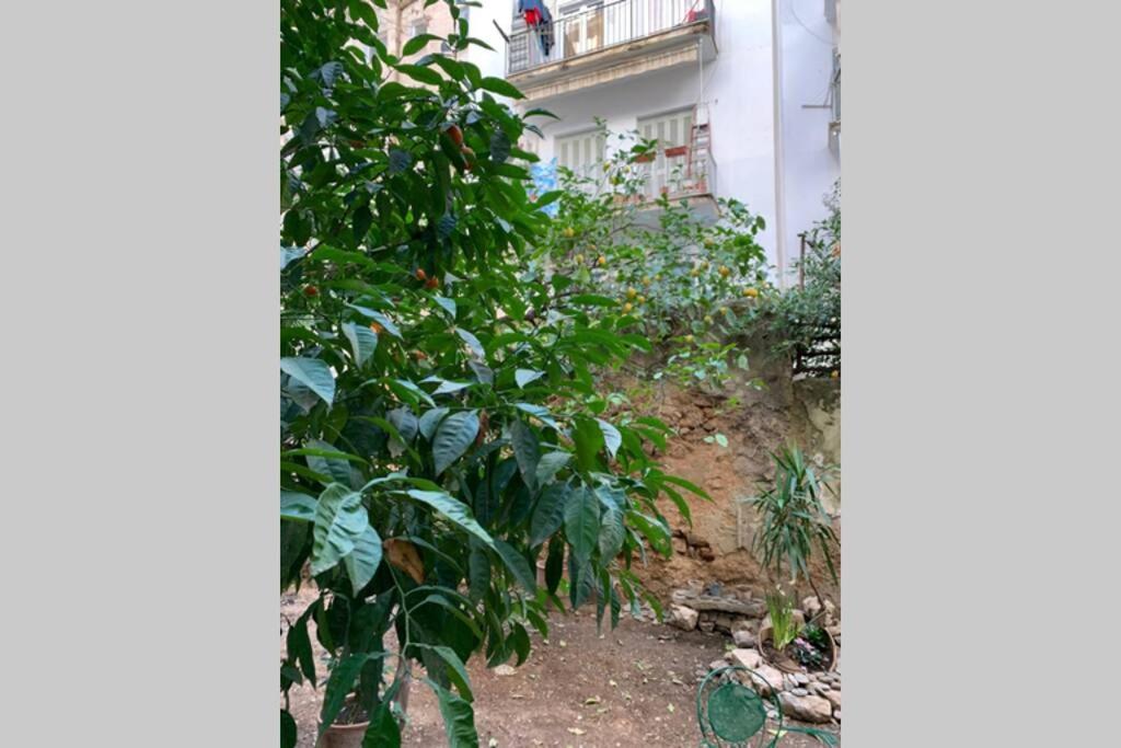 Quiet And Central Flat With Private Backyard Garden Athen Exterior foto